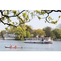 1150__6454 Kastanienbaum mit Blattknospen am Ufer der Aussenalster. | 